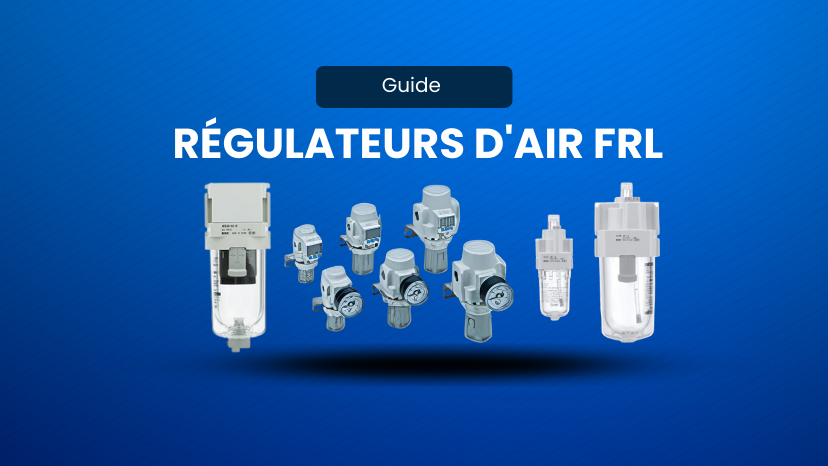 Guide des Régulateurs de Pression d'Air FRL
